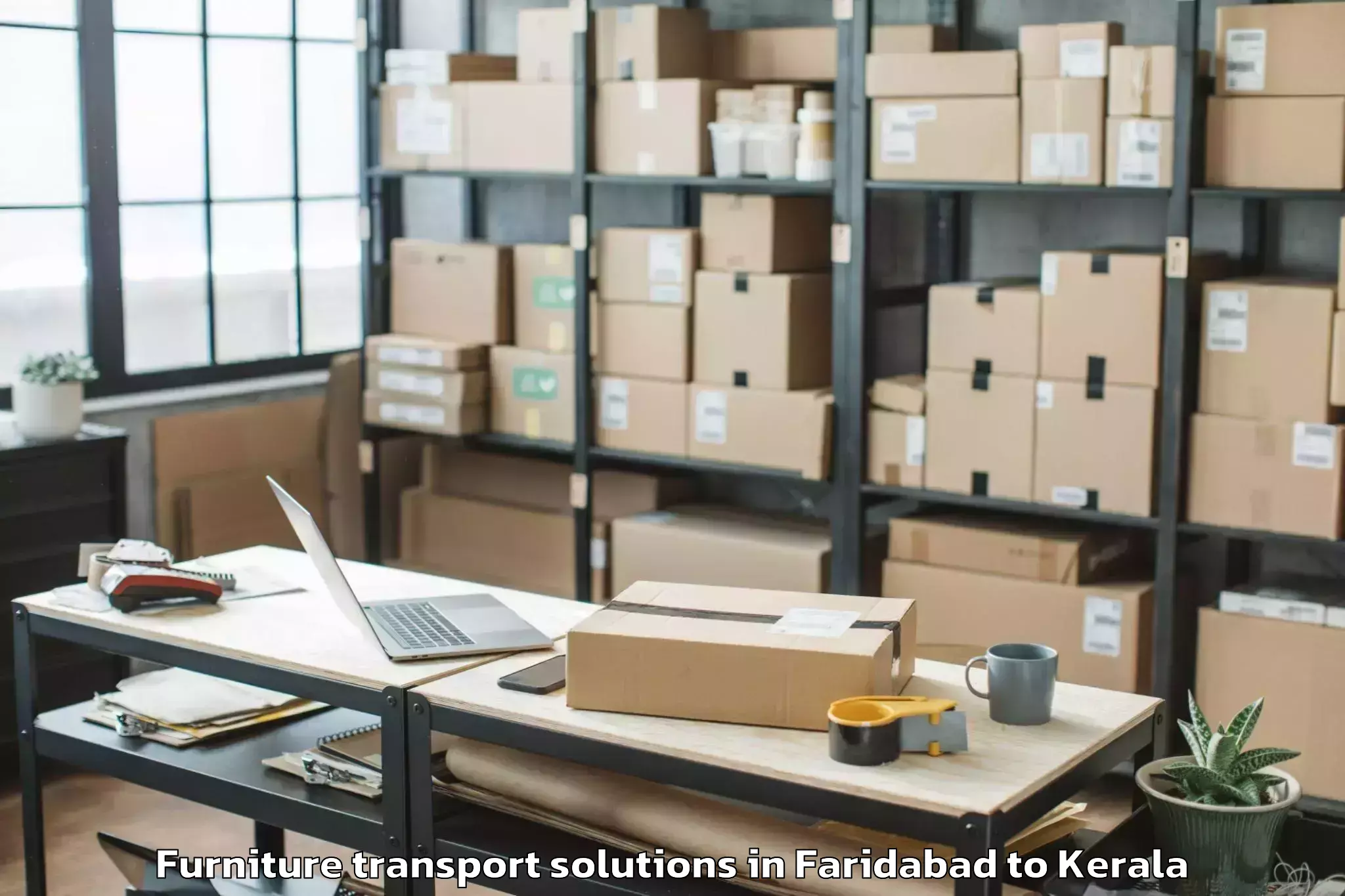 Book Faridabad to Karunagappally Furniture Transport Solutions